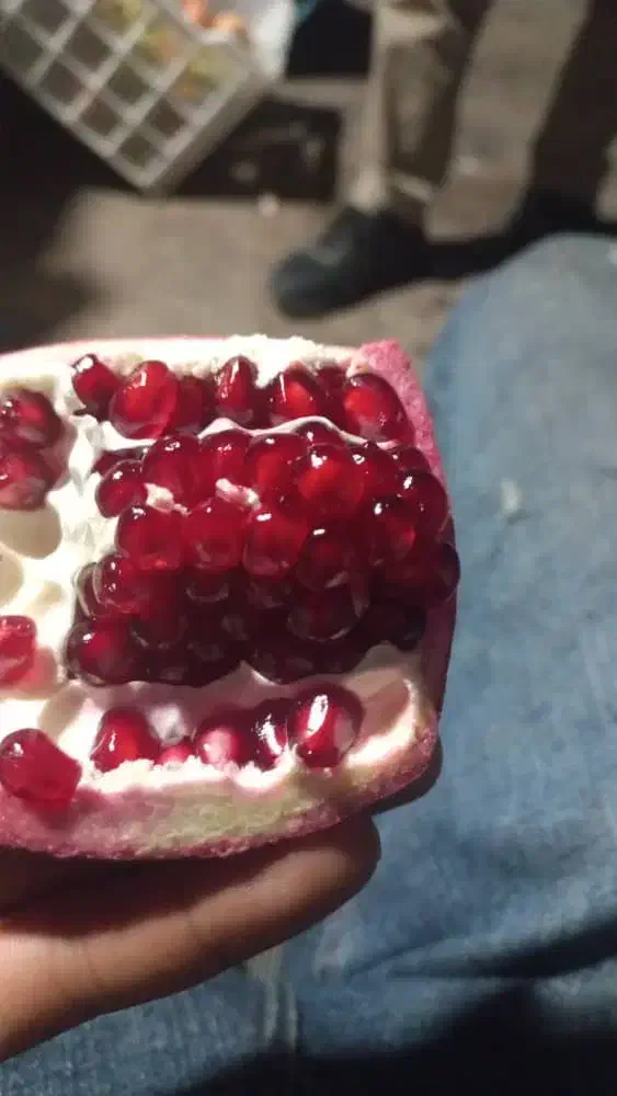 آب انار طبیعی ساوه|خوردنی و آشامیدنی|ساوه, |دیوار