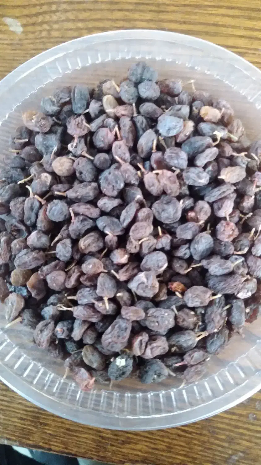 کشمش آفتابی|خوردنی و آشامیدنی|تاکستان, |دیوار