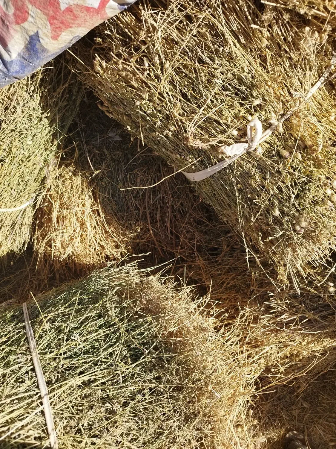 یونجه و علف مخلوط چین بهار|لوازم جانبی حیوانات|زنجان, |دیوار