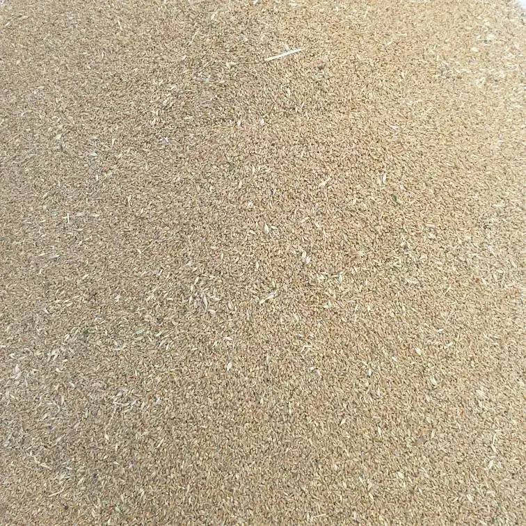 فروش گندم پیشگام|عمده‌فروشی|سراب, |دیوار