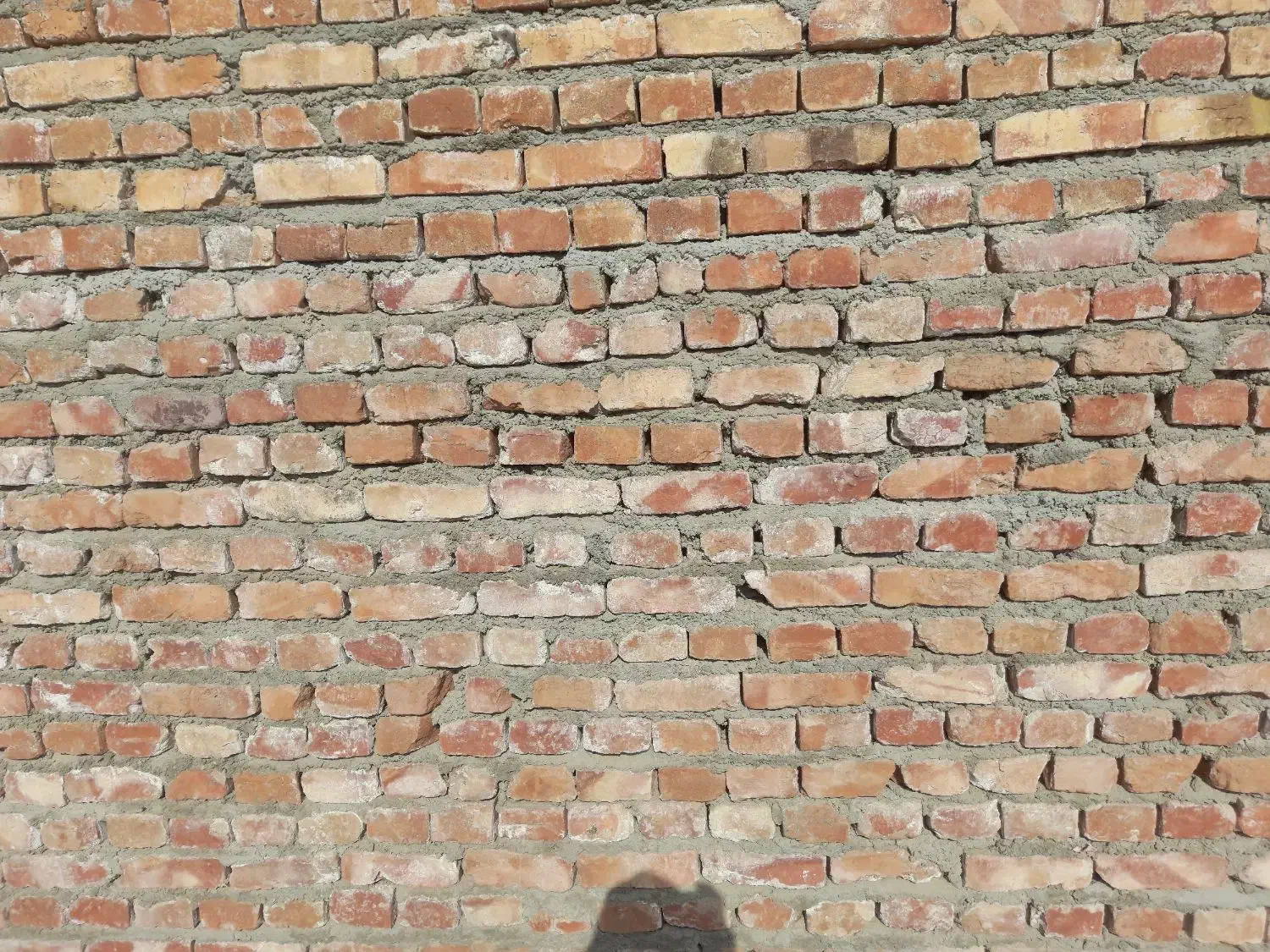 استا بنا|خدمات پیشه و مهارت|زاهدان, |دیوار