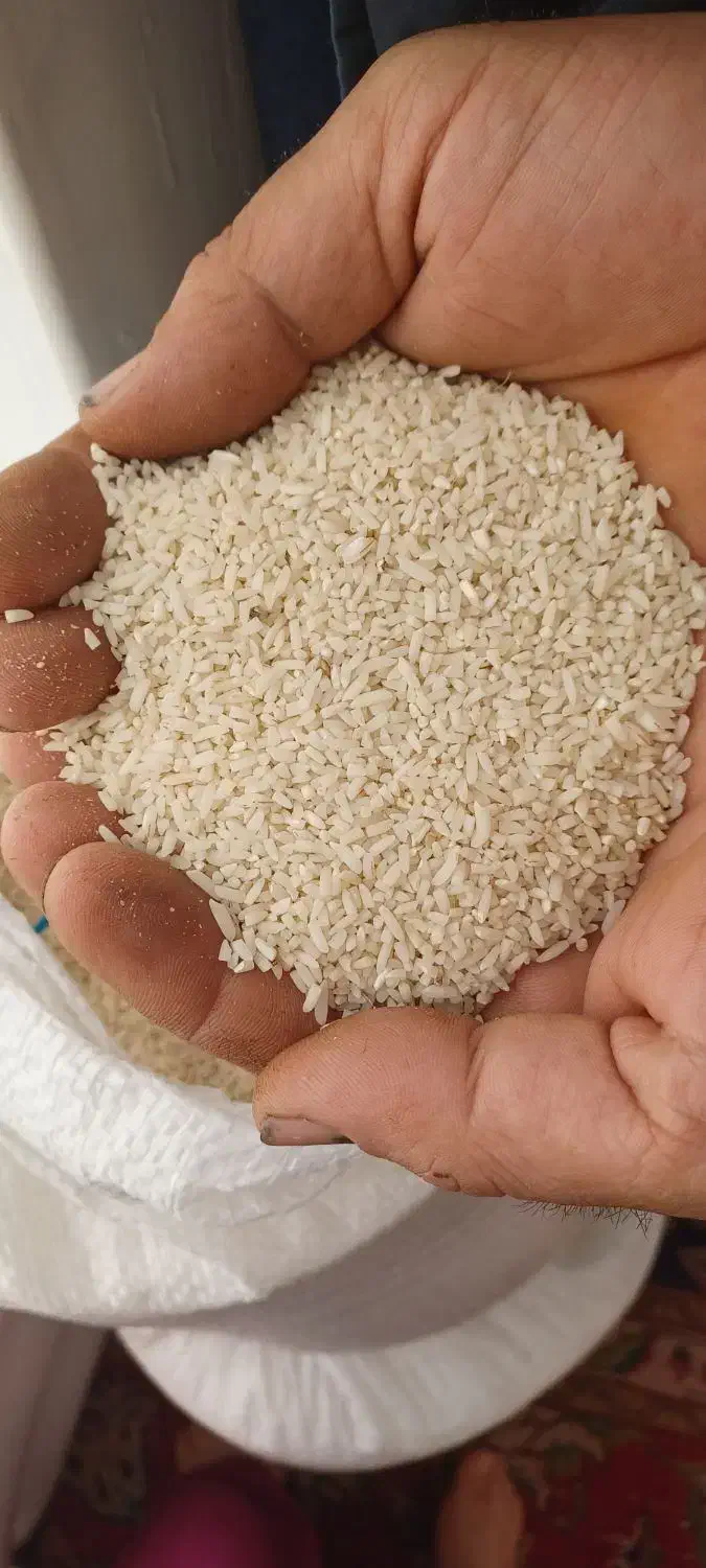 برنج نیم دانه هاشمی درجه یک|خوردنی و آشامیدنی|زنجان, |دیوار