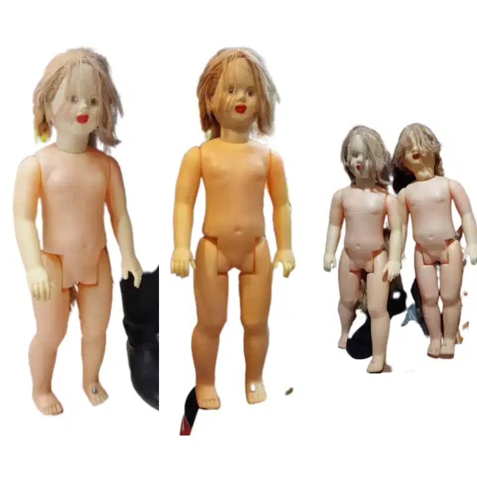 پالاز موکت|موکت|بندر کنگان, |دیوار