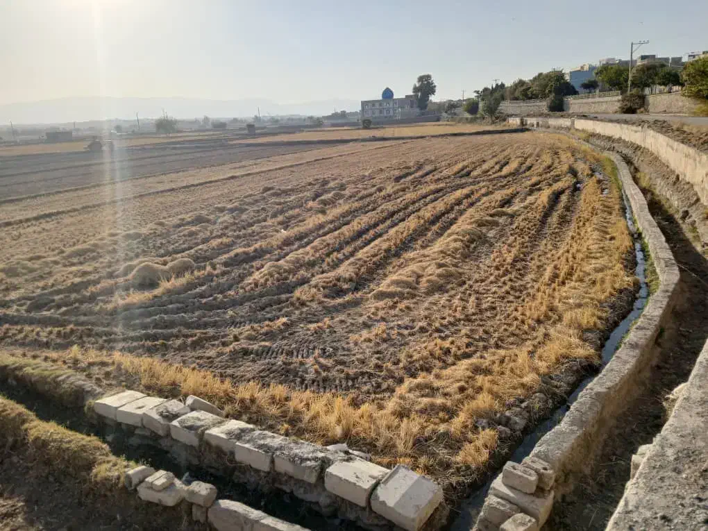 زمین کشاورزی واقع در اصفهان چمگردان|فروش دفتر صنعتی، کشاورزی، تجاری|لنجان, |دیوار