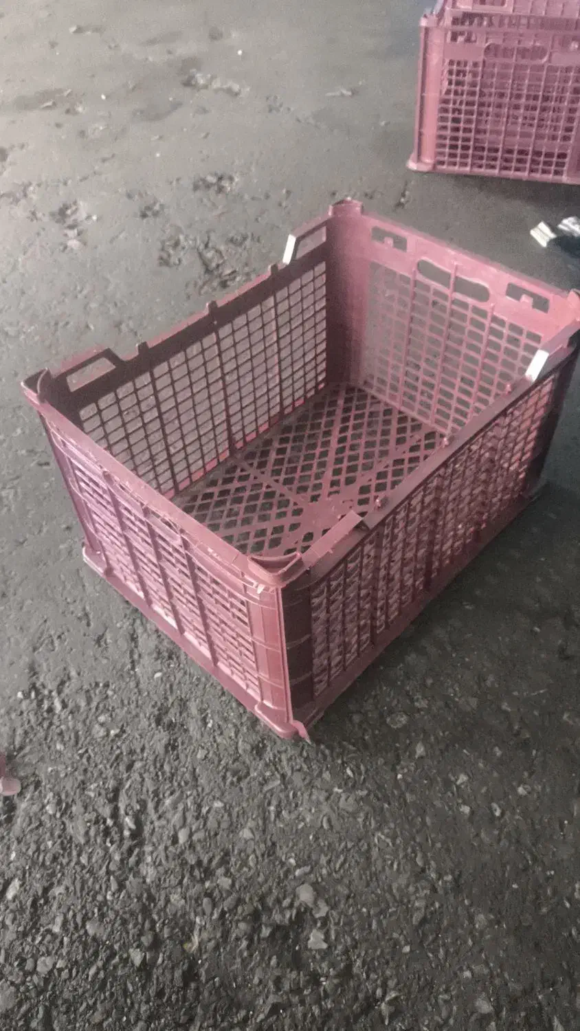 سبد مخصوص نارنگی و پرتغال و....|عمدهفروشی|قائمشهر, |دیوار