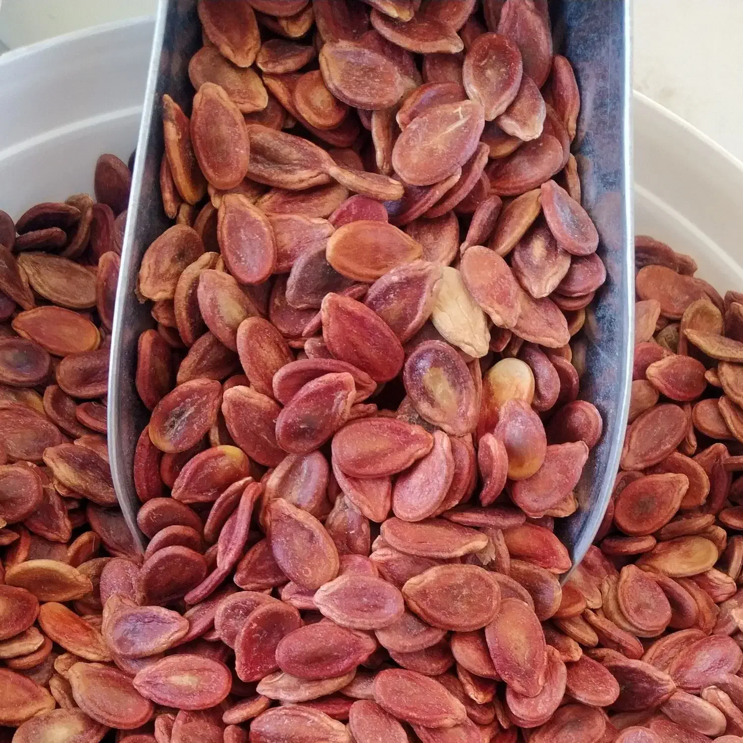 تخم هندوانه|خوردنی و آشامیدنی|جلگه ماژان, |دیوار