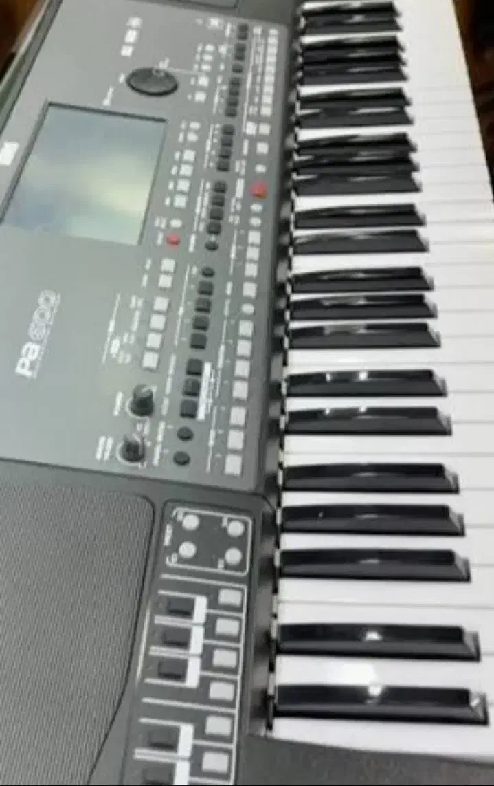 pa600QT|پیانو، کیبورد، آکاردئون|کازرون, |دیوار