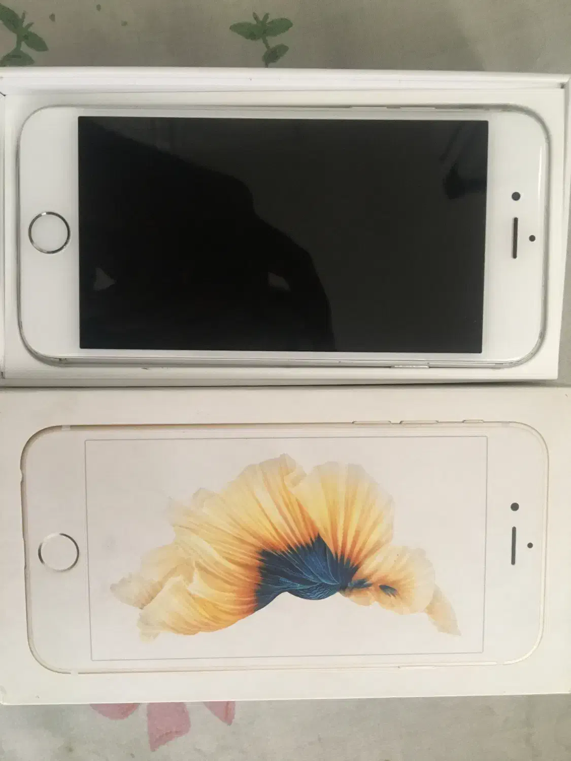 گوشی آیفون ۶تمیز|موبایل|اصفهان, سروستان|دیوار