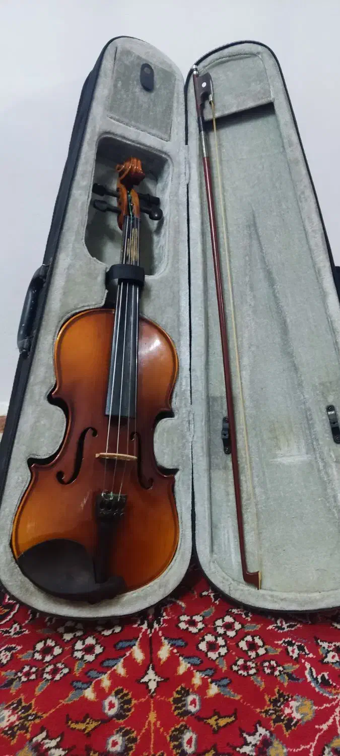 ویولن|ویولن|کیاشهر, |دیوار