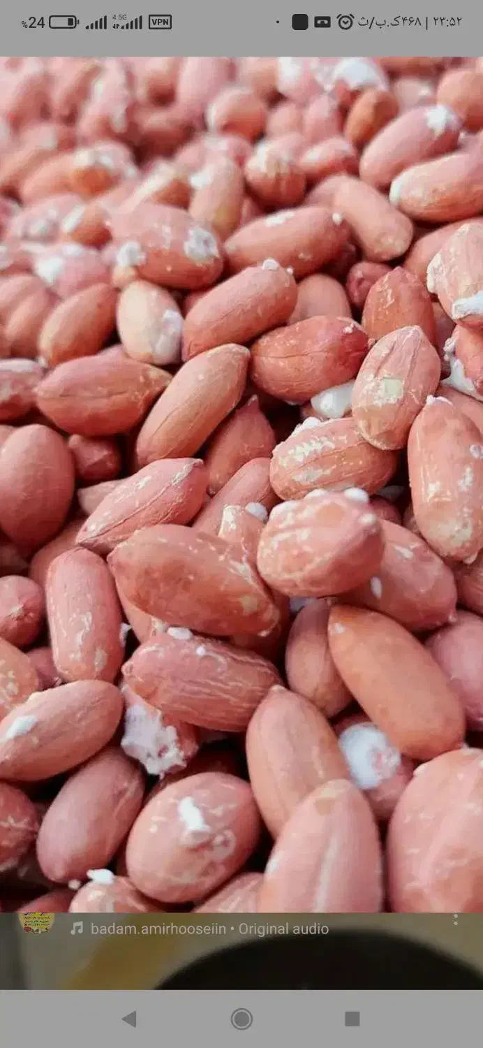 بادام زمینی آستانه|عمده‌فروشی|کیاشهر, |دیوار