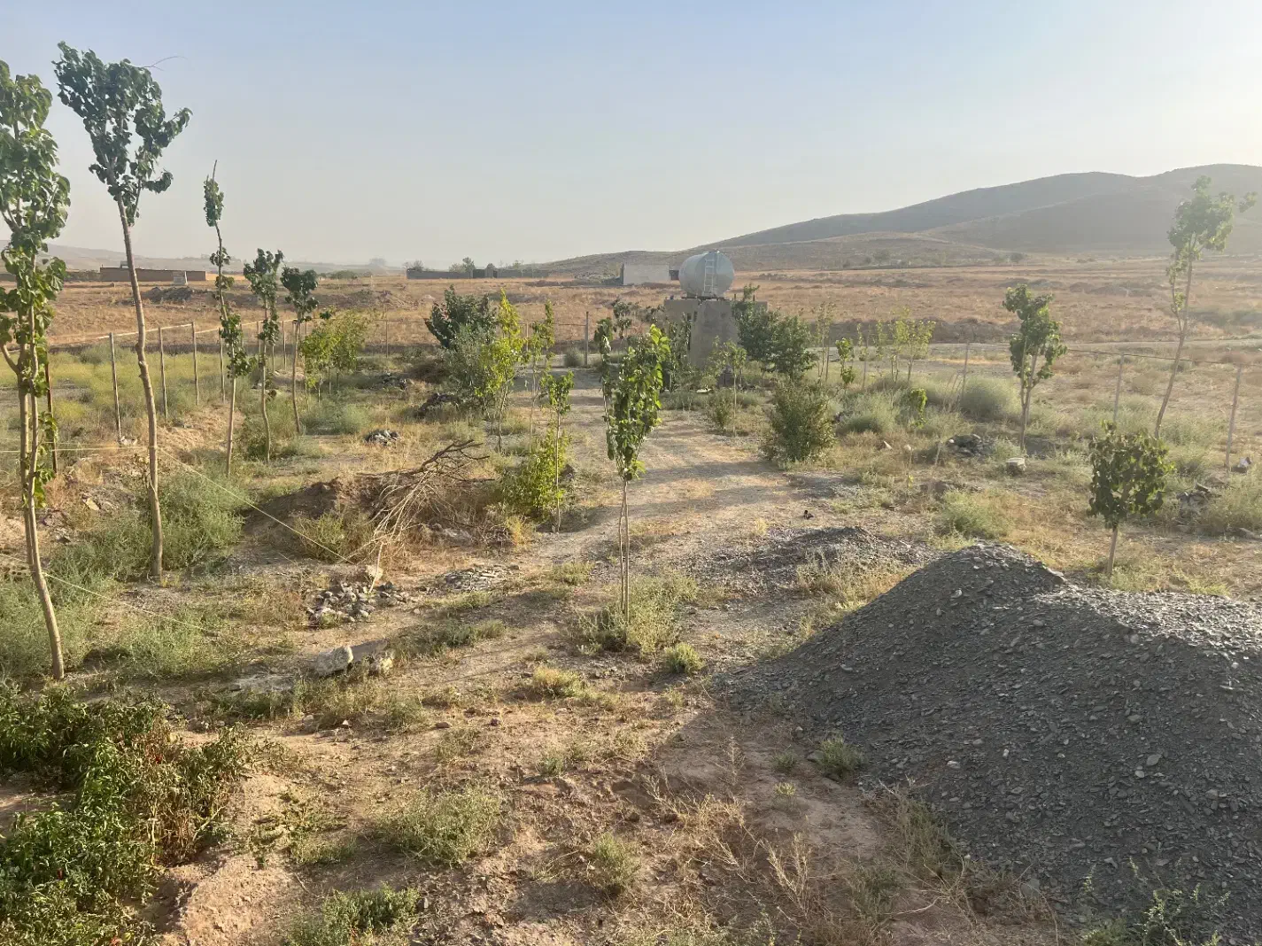 درخت بیدقطعه ۱۰۰۰متری دورفنس بادرخت|فروش خانه و ویلا|طرقبه, |دیوار