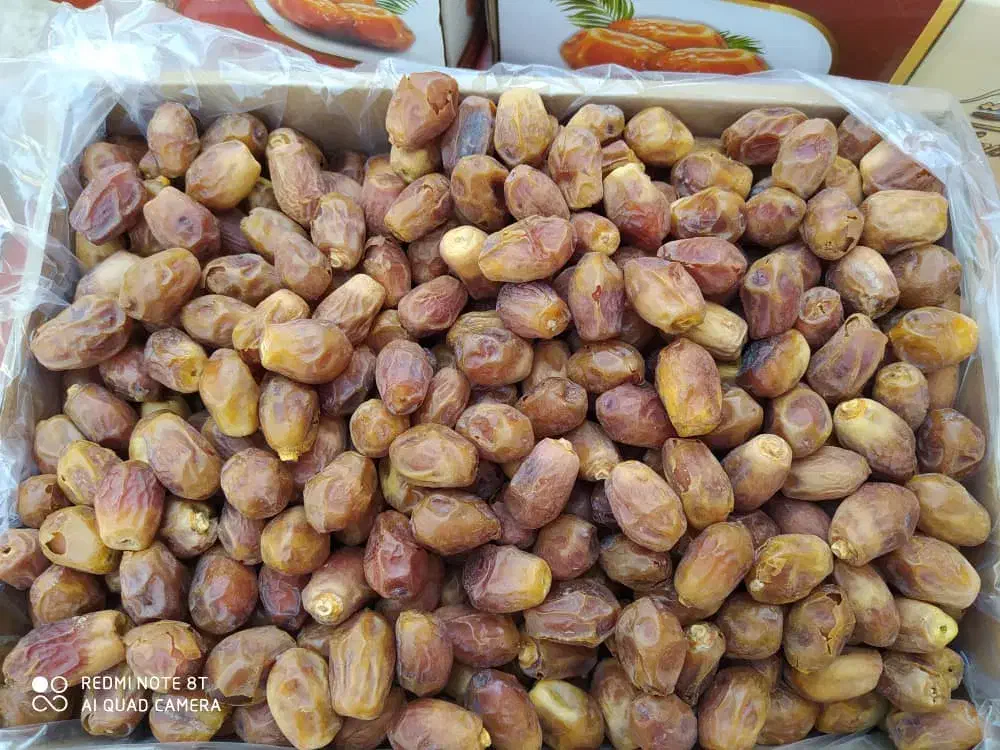 خرمای قصب درجه یک|خوردنی و آشامیدنی|جهرم, |دیوار