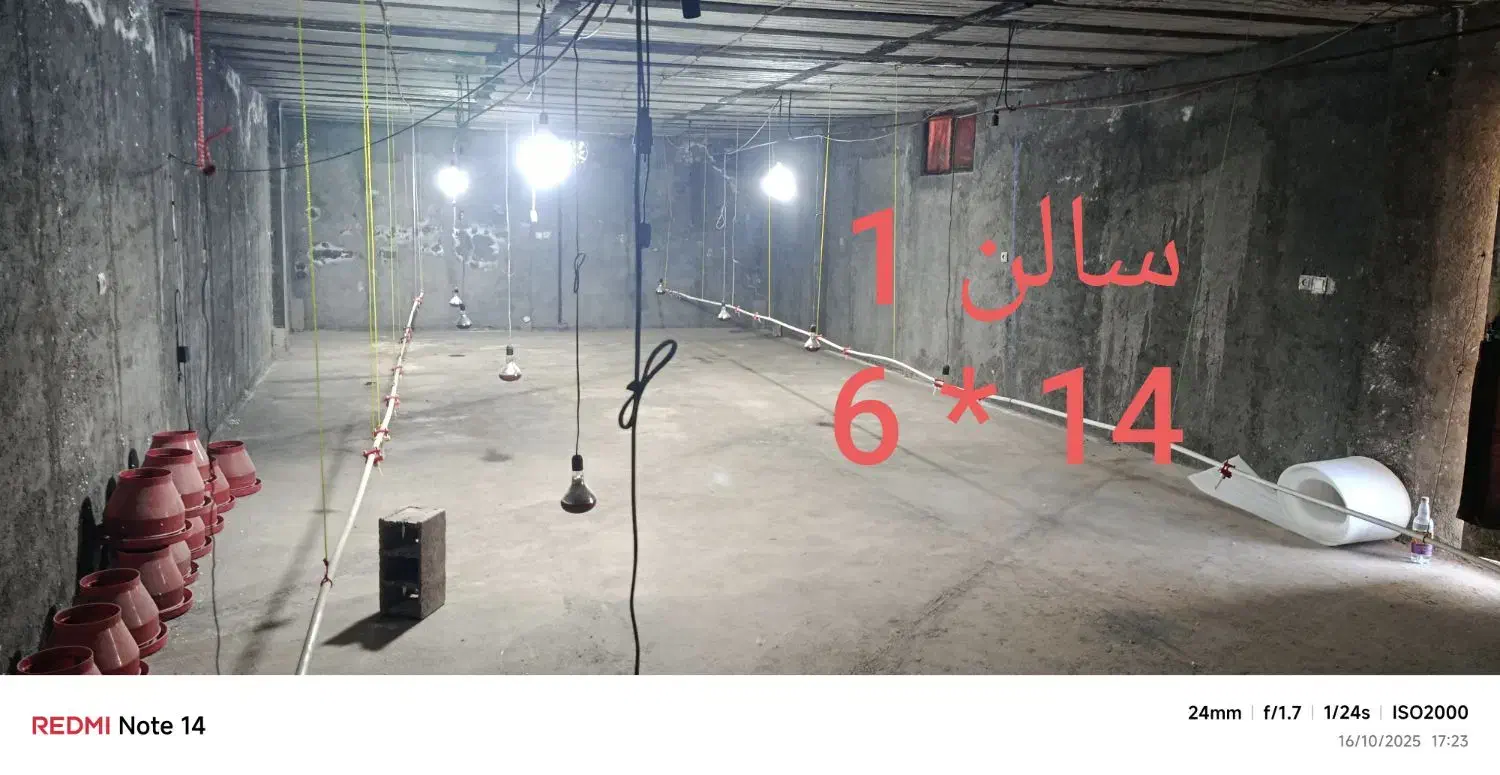 فروش باغ و دامداری|فروش دفتر صنعتی، کشاورزی، تجاری|قیدار, |دیوار