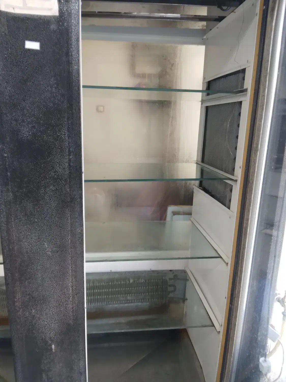 فروش یخچال ویترینی دو دره|یخچال و فریزر|رحیمآباد, |دیوار