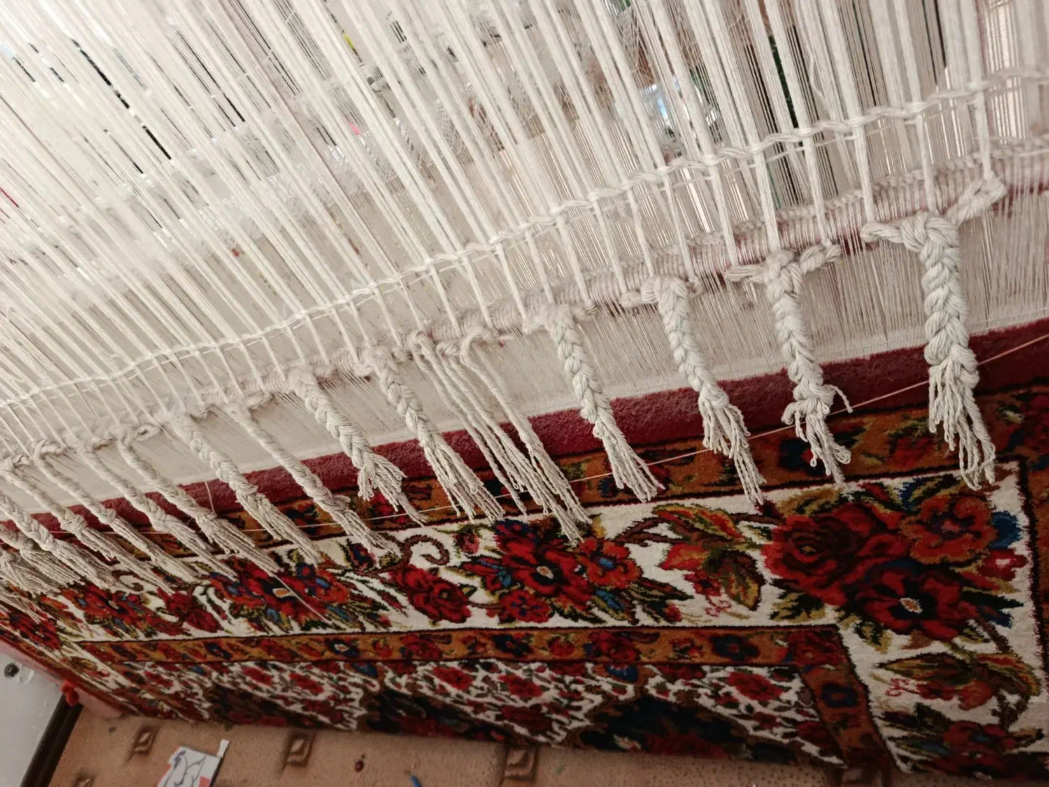 قالی 800تایی|فرش|شهرکرد, |دیوار