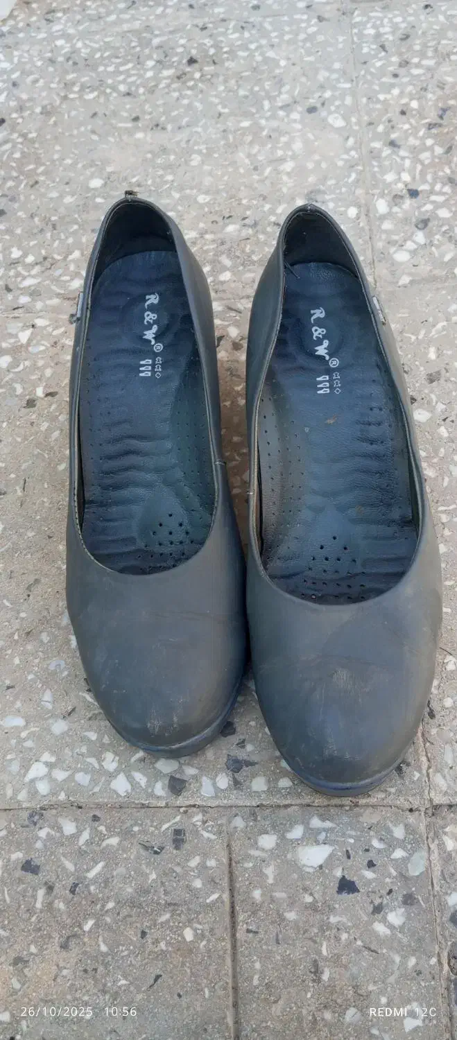 کفش|کیف، کفش، کمربند|کارون, |دیوار