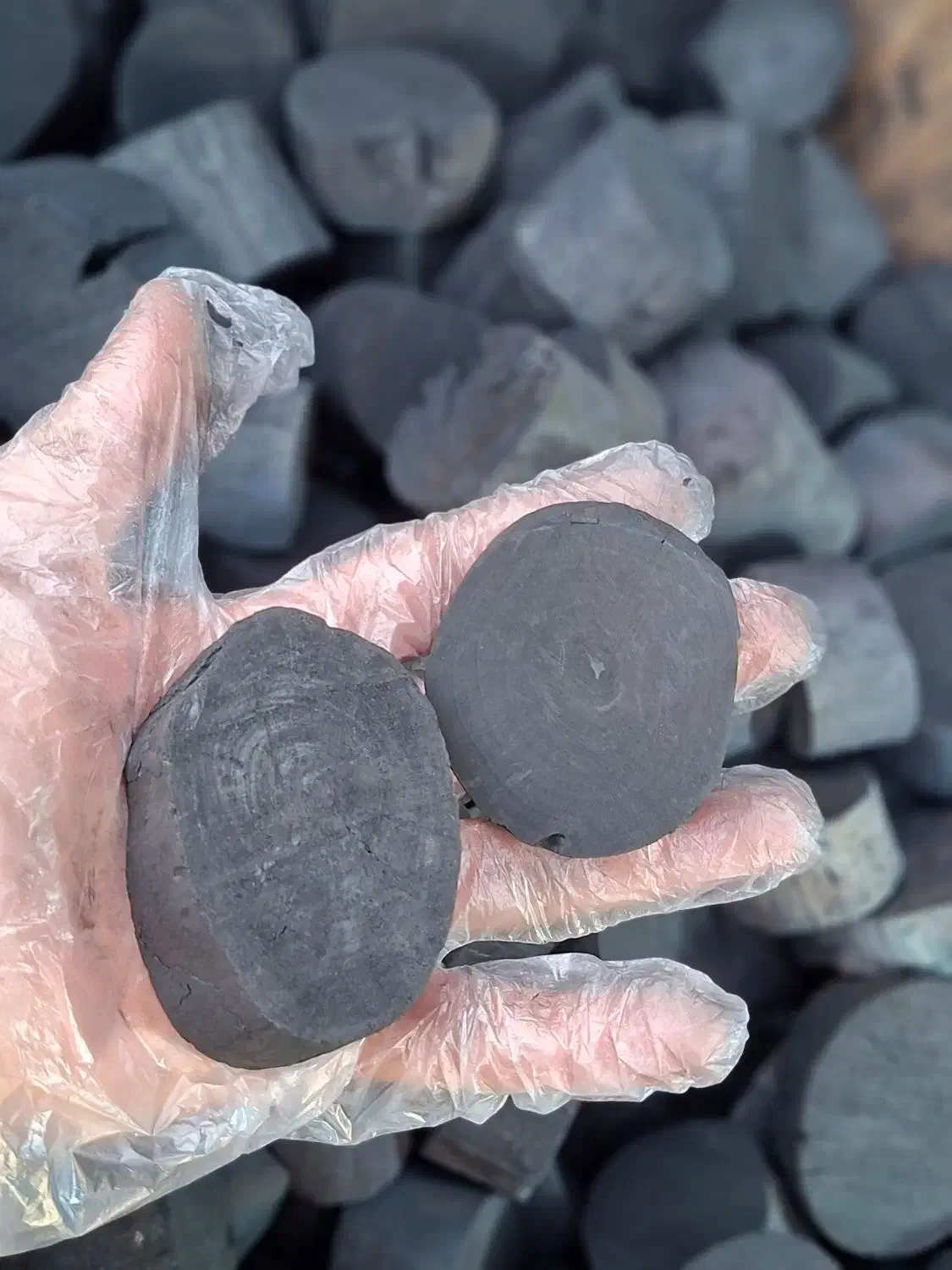 ذغال پرتقال|کوهنوردی و کمپینگ|زابل, |دیوار