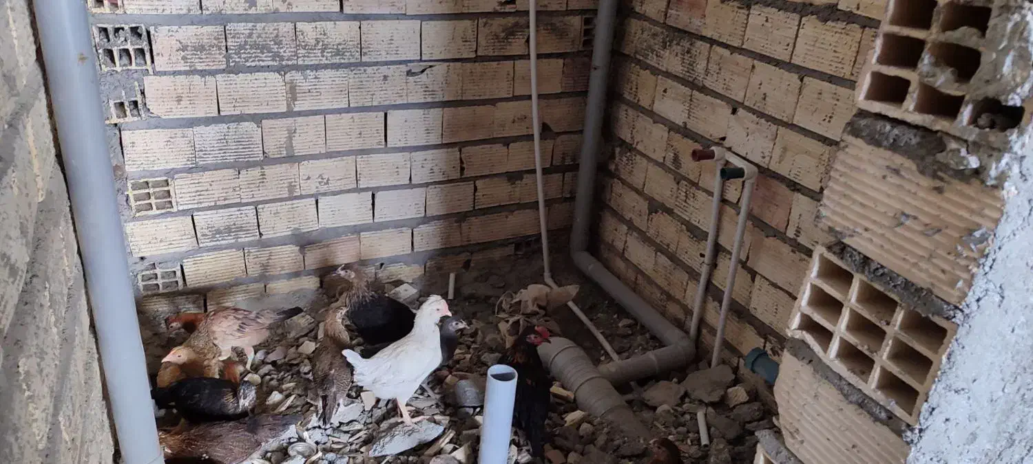 لوله کش|خدمات پیشه و مهارت|زاهدان, |دیوار