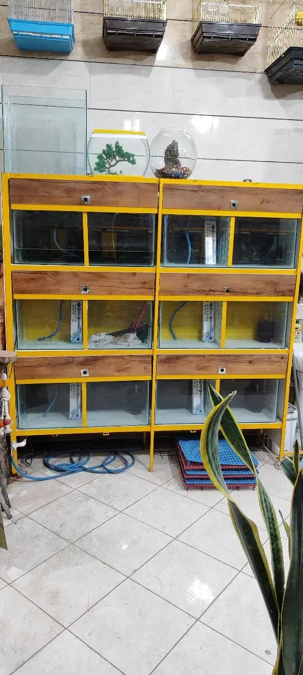 ۹عدد آکواریوم ۶میل|ماهی|گناباد, |دیوار