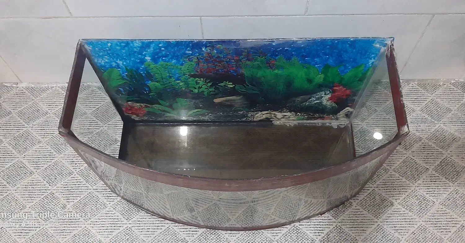 آکواریوم منحنی|ماهی|اقبالیه, |دیوار