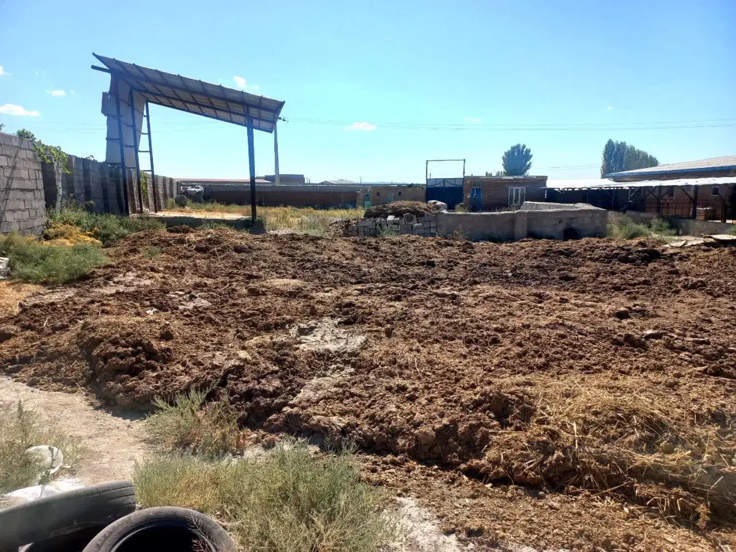 پرورش اسب و گوسفند و گاوداری|اجارهٔ دفتر صنعتی، کشاورزی، تجاری|مراغه, |دیوار