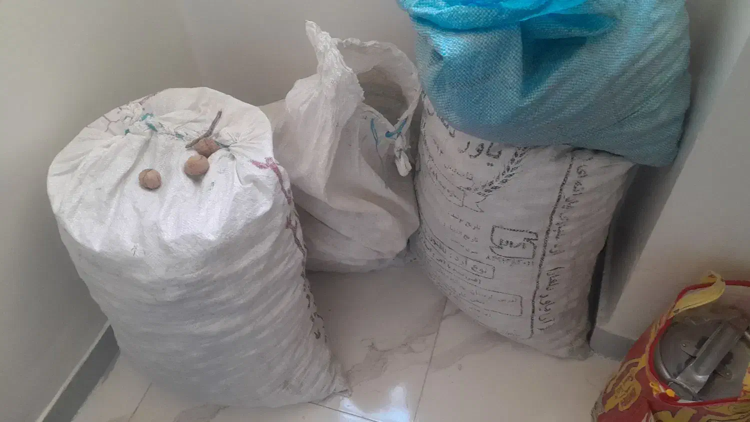 فروش گردوی پوست کاغذی|عمدهفروشی|فولادشهر, C1|دیوار