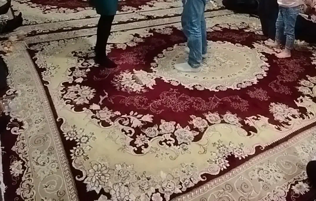 دو عدد فرش ۱۲ متری|فرش|خزل, |دیوار