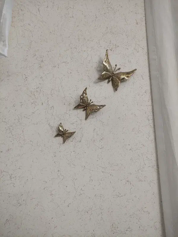 پروانه برنزی|مجسمه، تندیس، ماکت|بروجرد, |دیوار