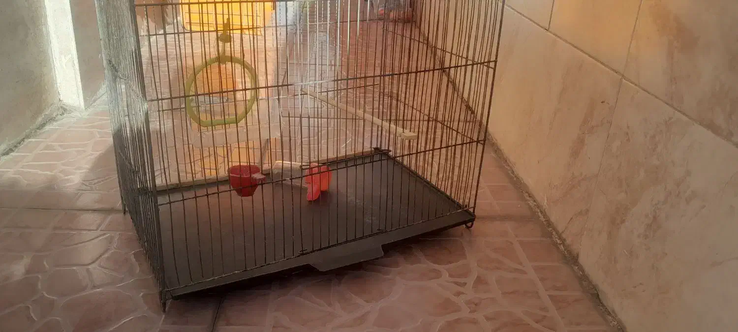 قفس|لوازم جانبی حیوانات|تبریز, |دیوار