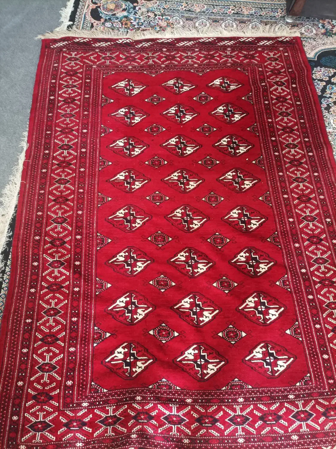 قالی ترکی|فرش|شیراز, شهرک والفجر|دیوار