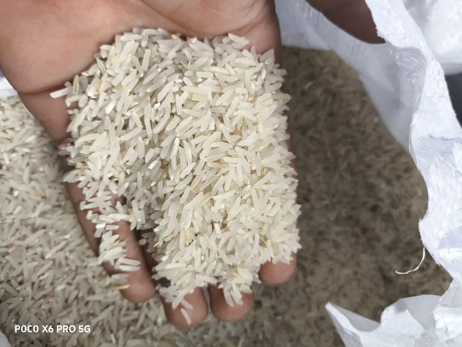 برنج|خوردنی و آشامیدنی|مزرعه کتول, |دیوار