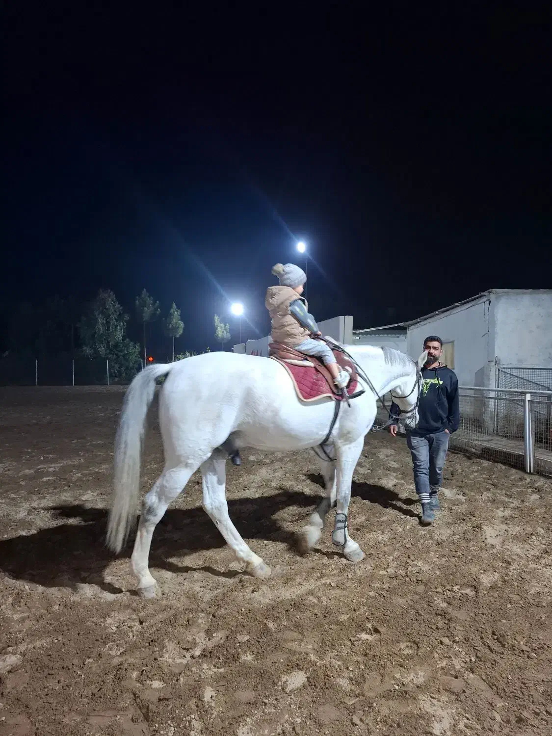 نیازمند ادمین حرفه ای.|استخدام هنری و رسانه|ماهدشت, |دیوار