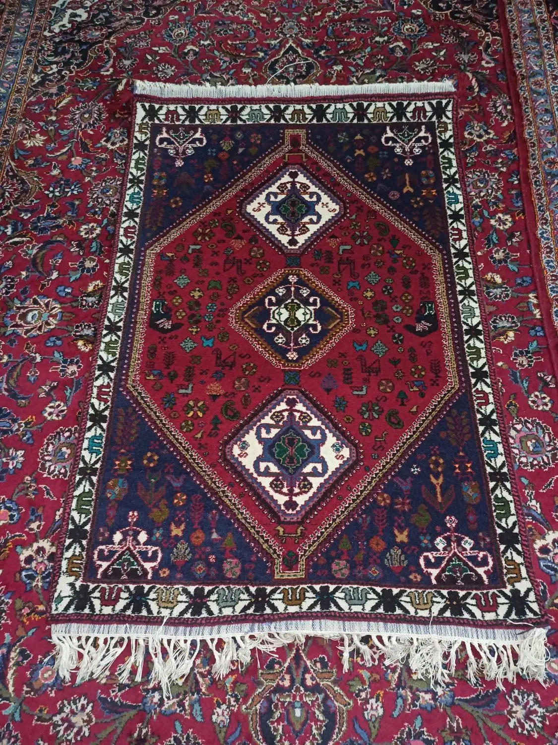 قالیچه دست باف|گلیم، جاجیم، گبه|شیراز, حافظیه|دیوار