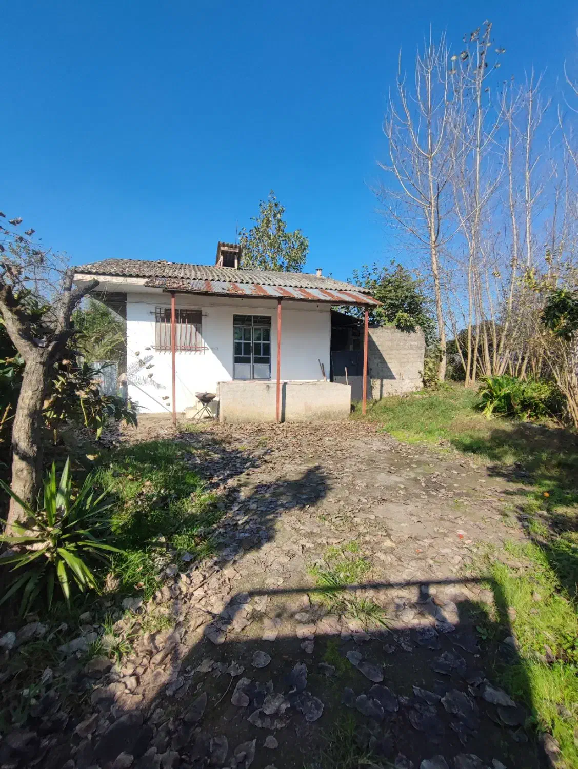 خانه و شالیزار/هشت دقیقه تا گلسار/1 هکتار/چسب هم|فروش خانه و ویلا|رشت, بلوار گیلان|دیوار