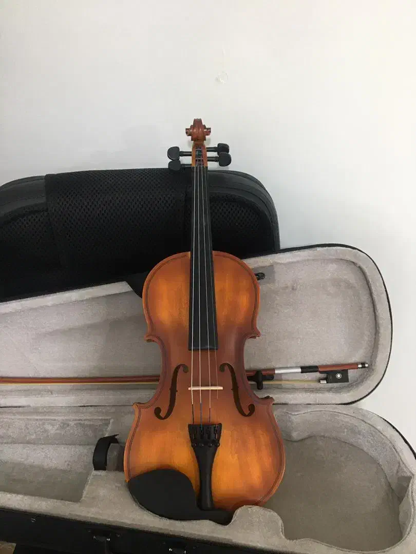 ویولن|ویولن|کرج, برغان|دیوار