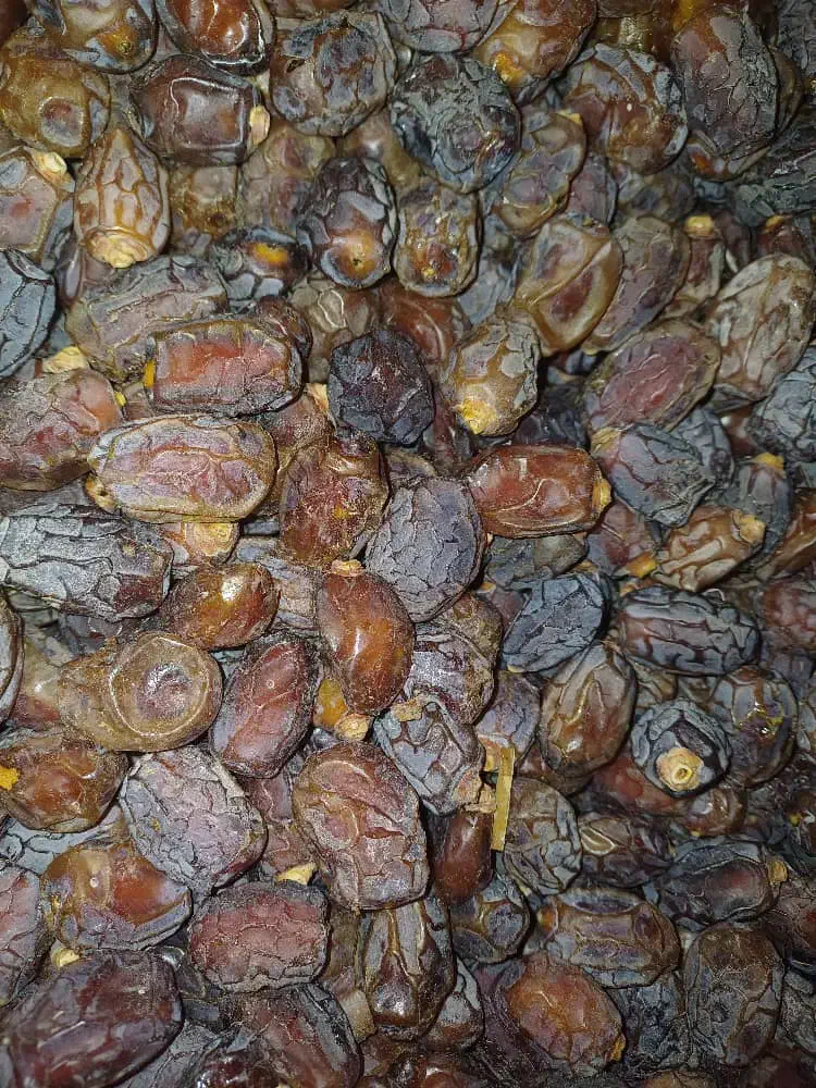 فروش خرما خشک خرما کشتی (بسته بندی|خوردنی و آشامیدنی|شیراز, فرهنگ شهر|دیوار