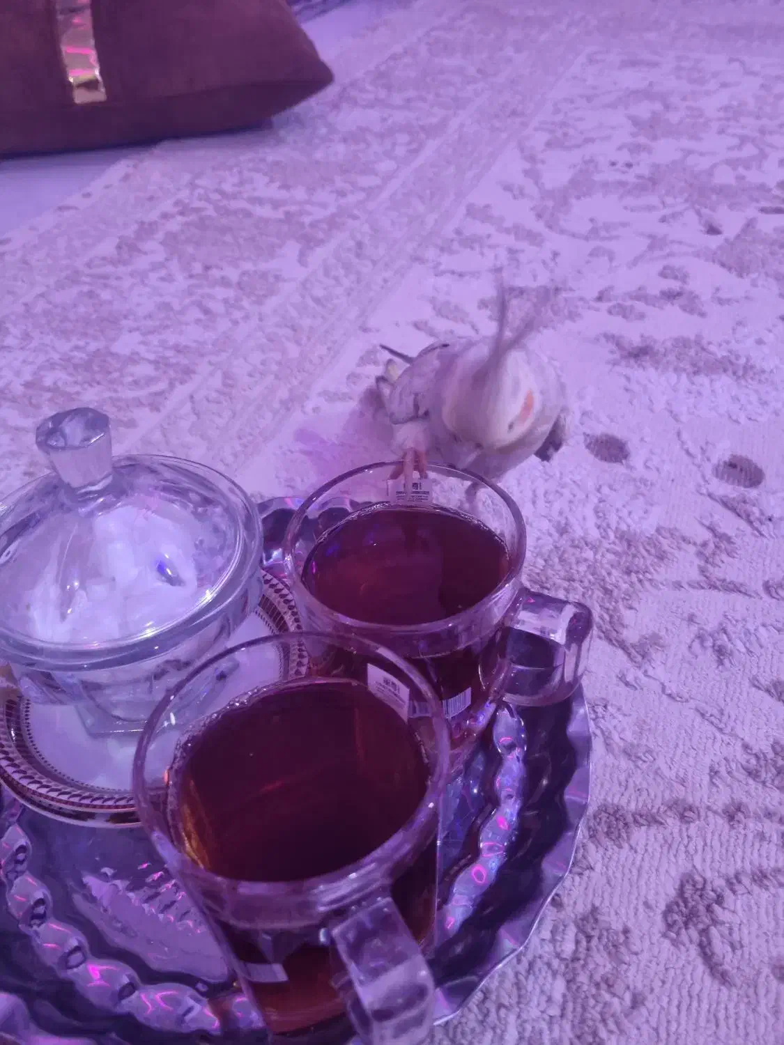 طوطی عروس هلندی|پرنده|تهران, افسریه جنوبی|دیوار