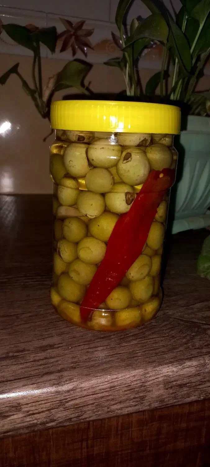 ترشی سپستان|خوردنی و آشامیدنی|رودان, |دیوار