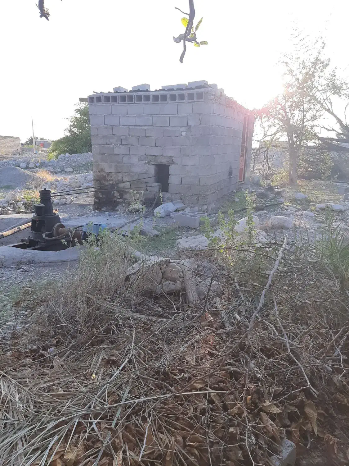 زمین کشاورزی ، روستای چاهستان|فروش دفتر صنعتی، کشاورزی، تجاری|تخت, |دیوار