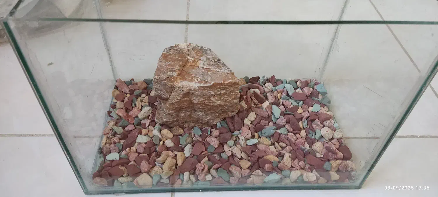 ۲ عدد اکواریوم با سنگ تزئینی و شن|ماهی|فولادشهر, A2|دیوار