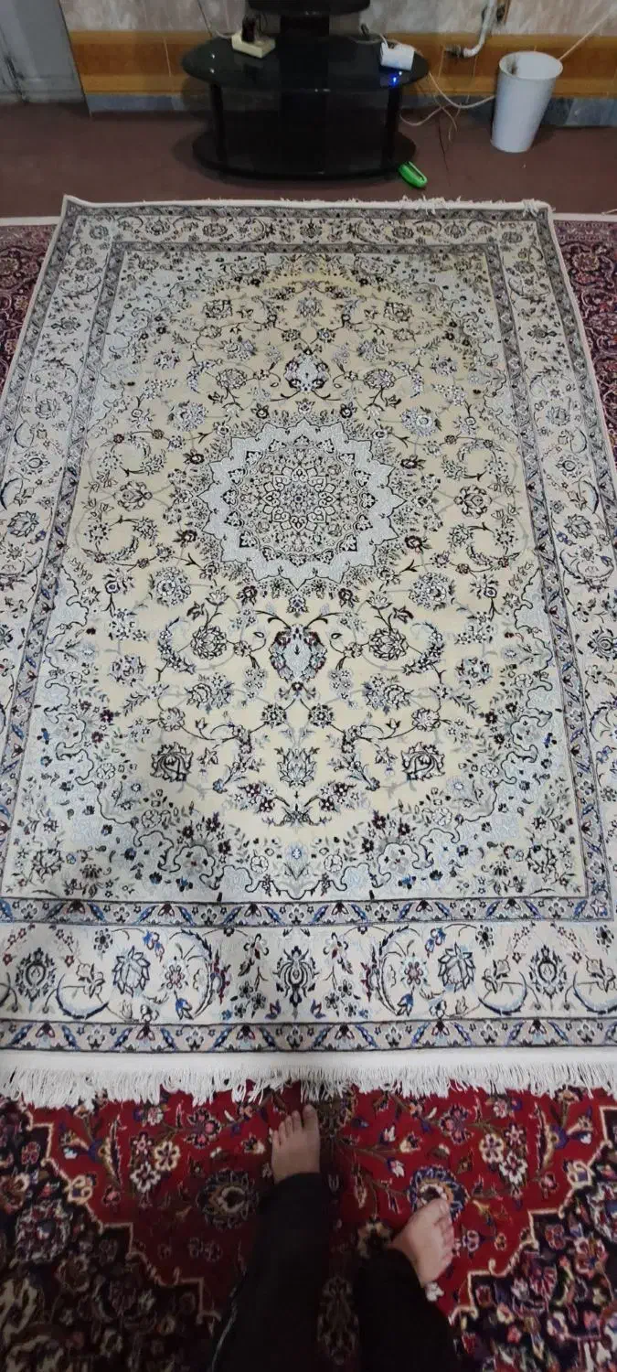 دوعدد ۶ متری و یه قالیچه گرد|فرش|دامغان, |دیوار