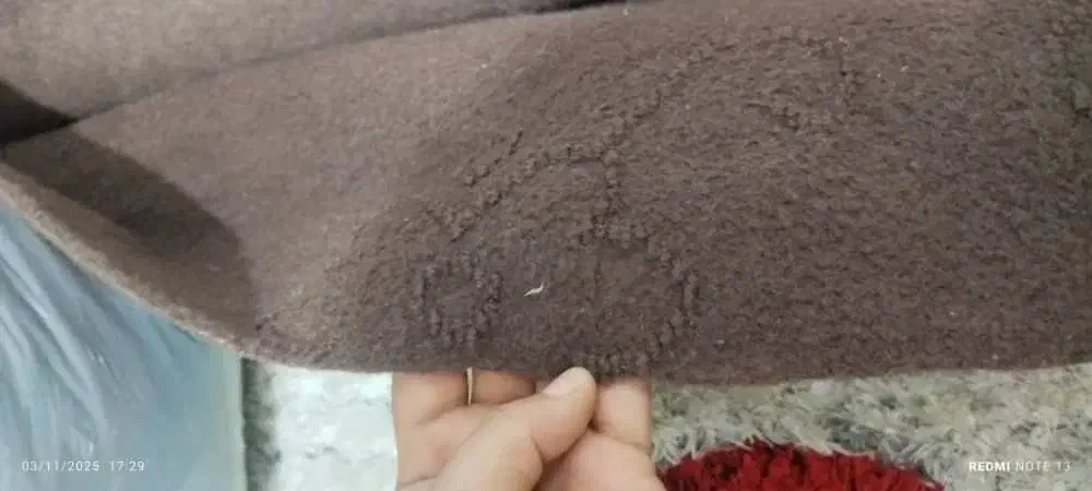 موکت نونو|موکت|بندر ماهشهر, |دیوار