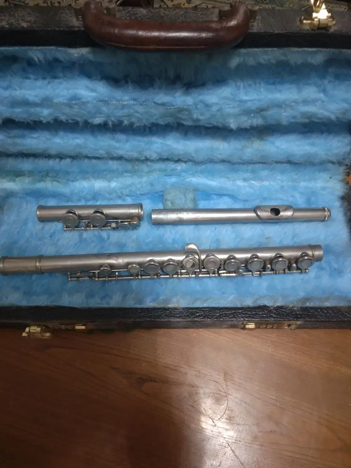 فلوت کلیدی|سازهای بادی|فردیس, نسترن غربی|دیوار