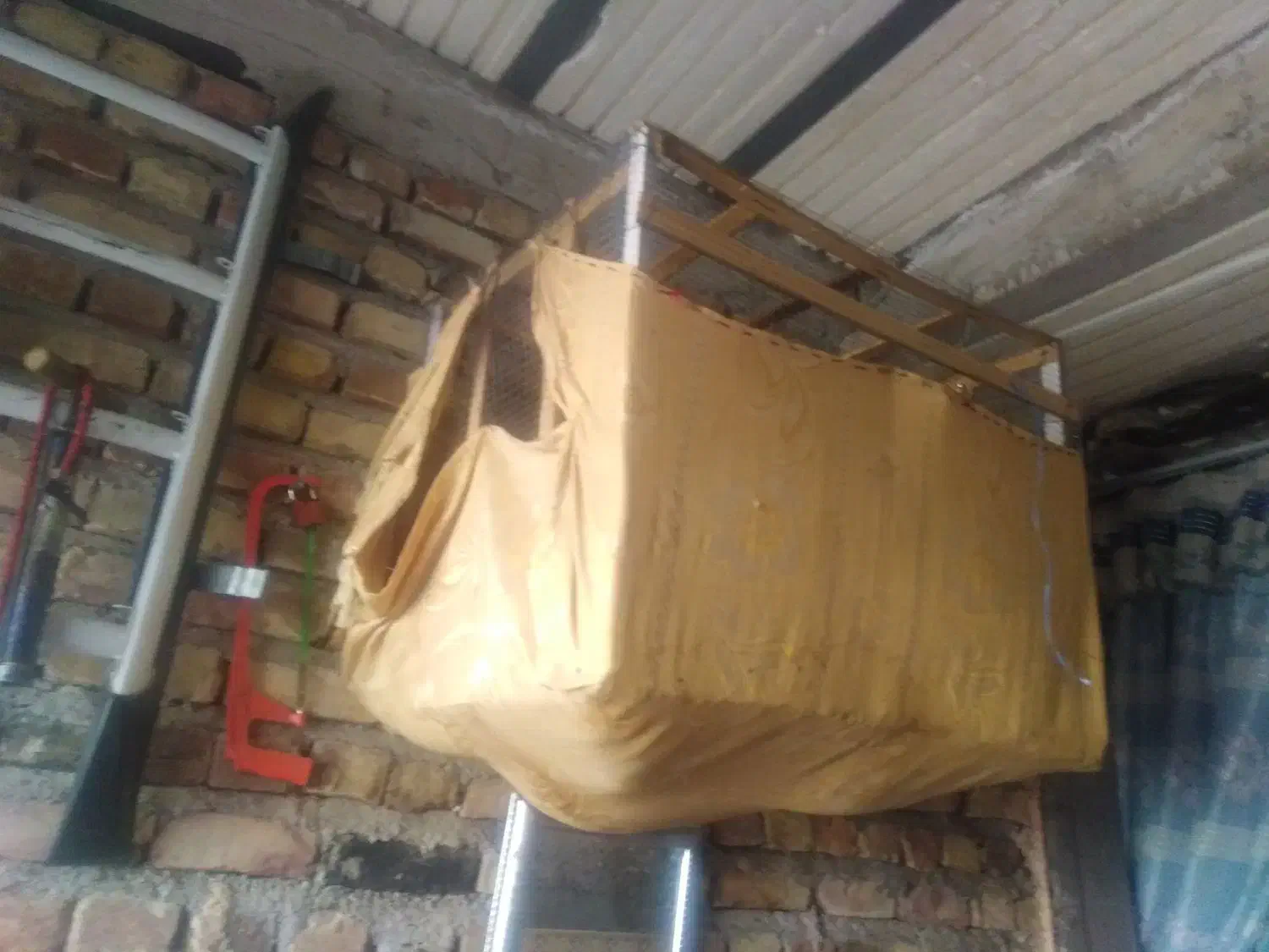 مامله ای با مرغ عشق|پرنده|ایرانشهر, |دیوار