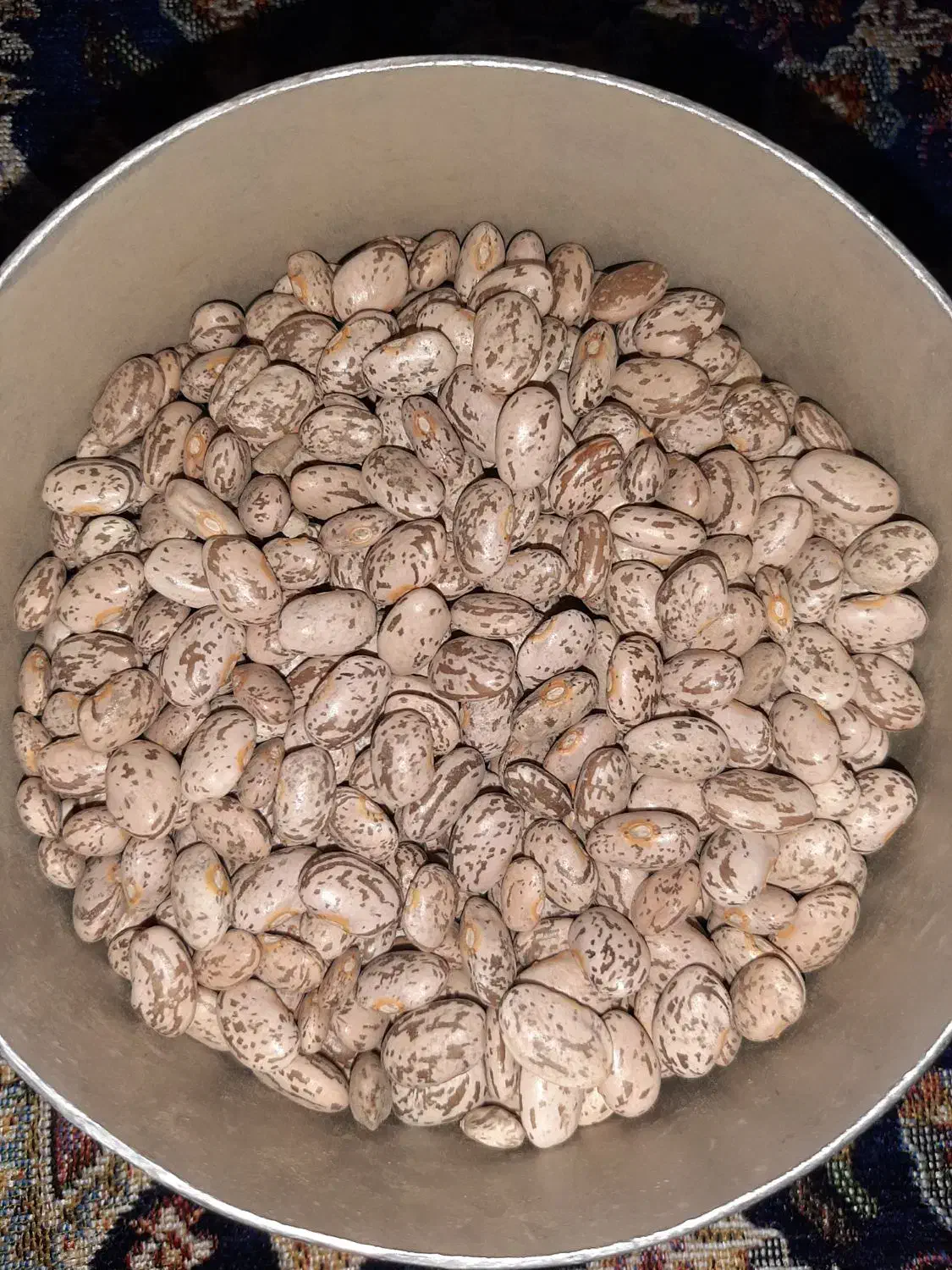 لوبیا چیتی|خوردنی و آشامیدنی|معمولان, |دیوار