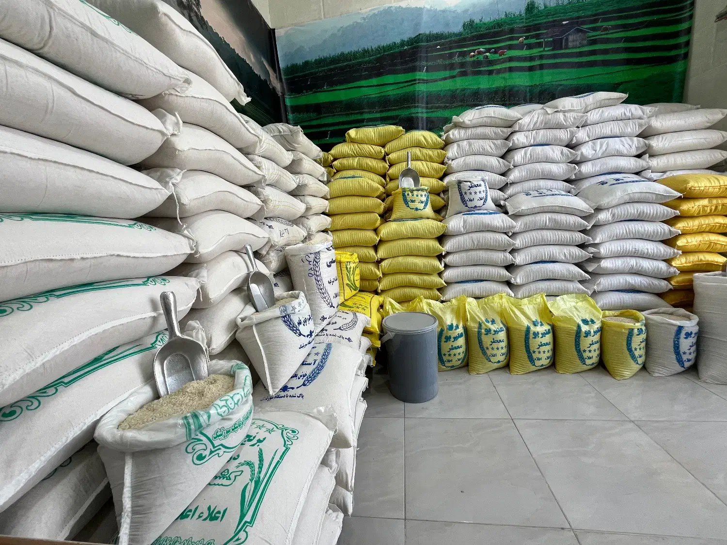 انواعِ برنجِ ایرانی(شمال)|خوردنی و آشامیدنی|رودان, |دیوار