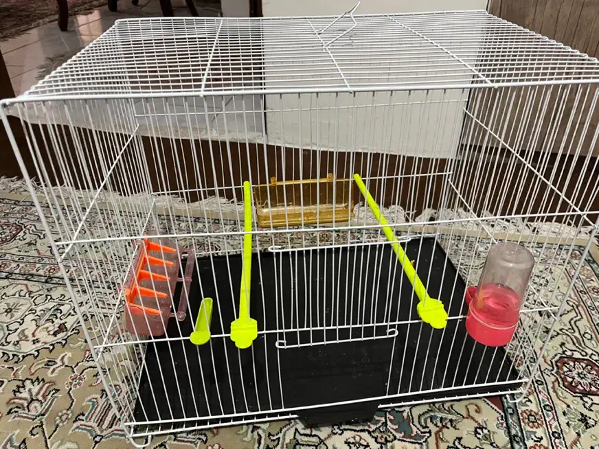 قفس پرنده|لوازم جانبی حیوانات|مشهد, امیریه|دیوار