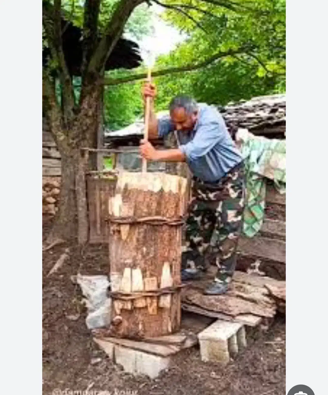 کره گاوی محلی|خوردنی و آشامیدنی|چالوس, |دیوار