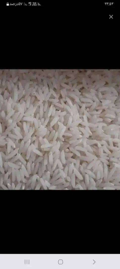 ۴۰۰ کیلو هاشمی|خوردنی و آشامیدنی|لاهیجان, لیالستان|دیوار
