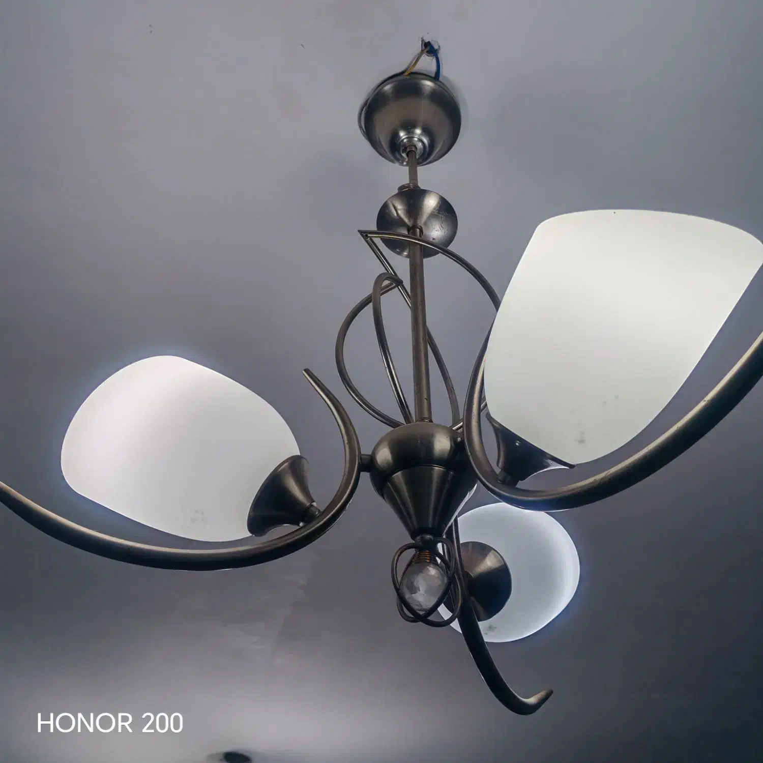 لوسترسه شاخه|لوستر و چراغ آویز|بندر ماهشهر, |دیوار